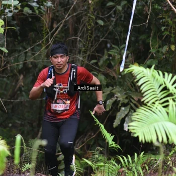 Runner Photo 8557794
