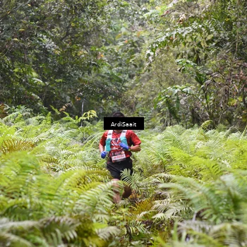 Runner Photo 8557810