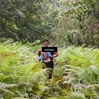 Runner Photo 8557815