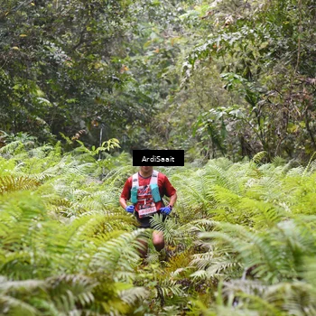 Runner Photo 8557817