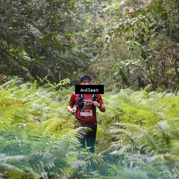 Runner Photo 8557819