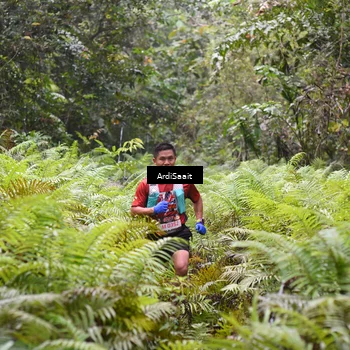 Runner Photo 8557824