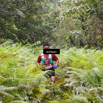 Runner Photo 8557827