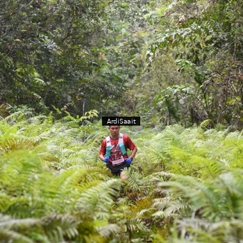Runner Photo 8557830