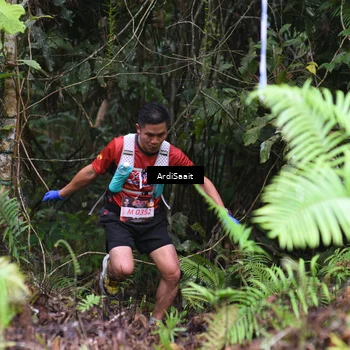 Runner Photo 8557853