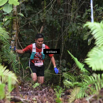 Runner Photo 8557854