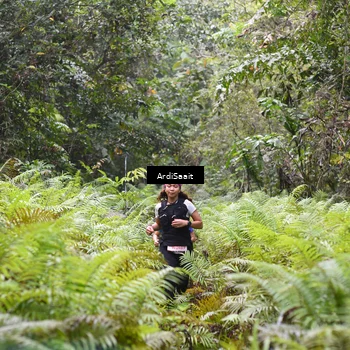 Runner Photo 8557876