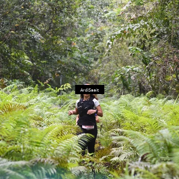 Runner Photo 8557879