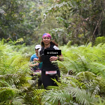 Runner Photo 8557890