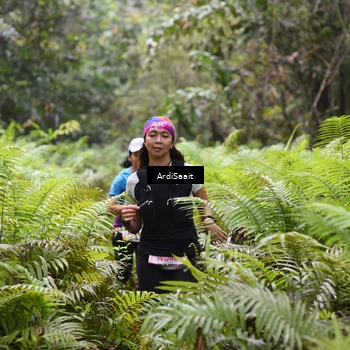 Runner Photo 8557926