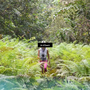 Runner Photo 8557987