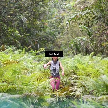 Runner Photo 8557989