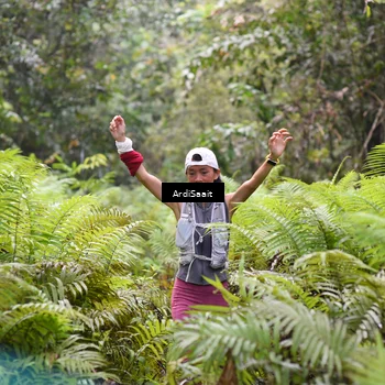 Runner Photo 8558006