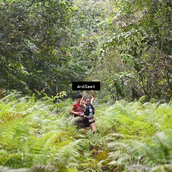 Runner Photo 8558034