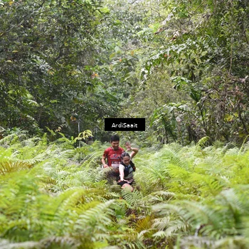 Runner Photo 8558042