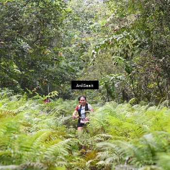 Runner Photo 8558049