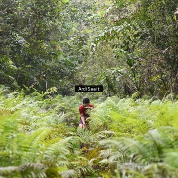 Runner Photo 8558060
