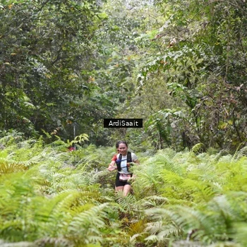 Runner Photo 8558061