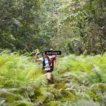 Runner Photo 8558063