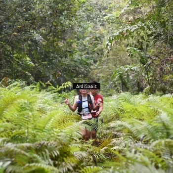 Runner Photo 8558067