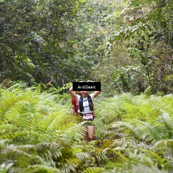 Runner Photo 8558069