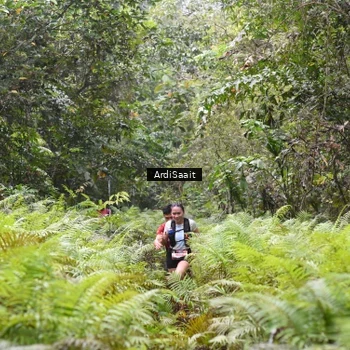 Runner Photo 8558072