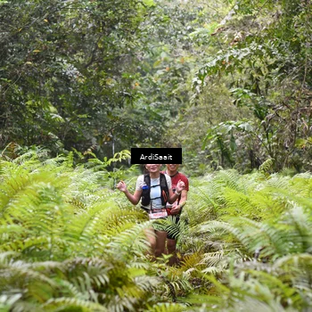 Runner Photo 8558075