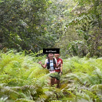Runner Photo 8558078