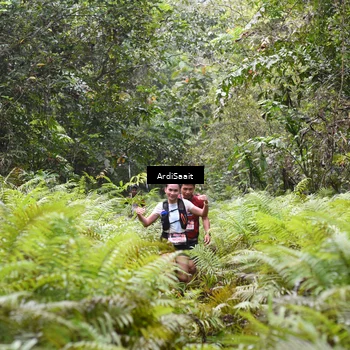 Runner Photo 8558079