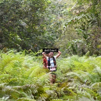 Runner Photo 8558081
