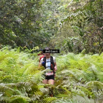 Runner Photo 8558082
