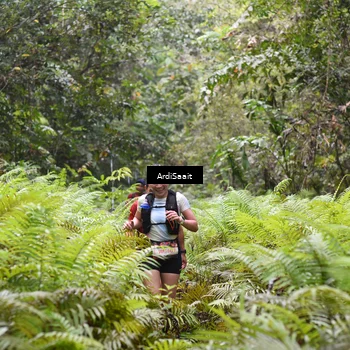 Runner Photo 8558086