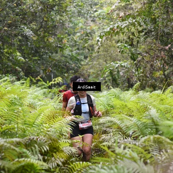 Runner Photo 8558093