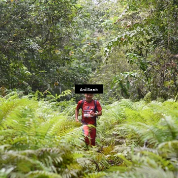 Runner Photo 8558113