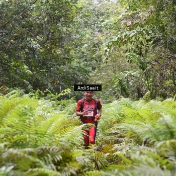 Runner Photo 8558123