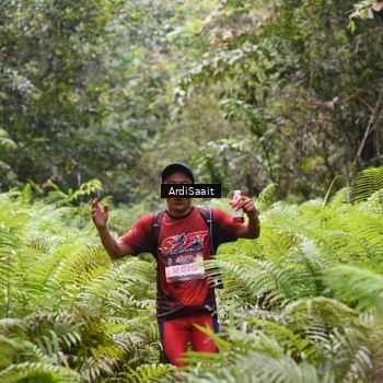 Runner Photo 8558124