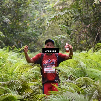 Runner Photo 8558126