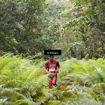 Runner Photo 8558131