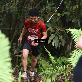 Runner Photo 8558163