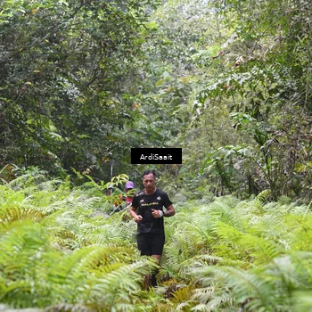 Runner Photo 8558193
