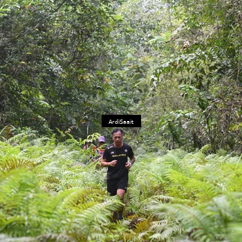 Runner Photo 8558195