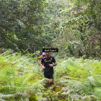 Runner Photo 8558201