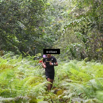 Runner Photo 8558205
