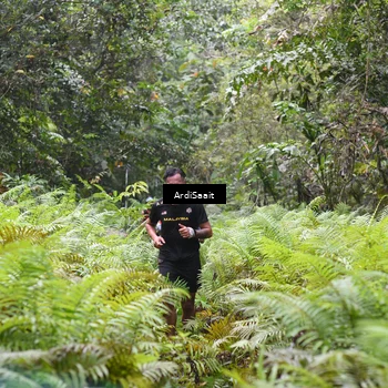 Runner Photo 8558207