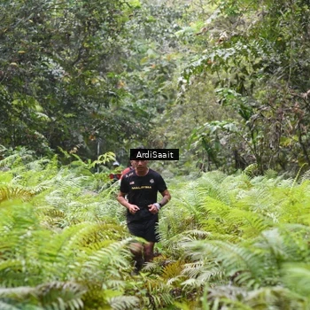Runner Photo 8558213