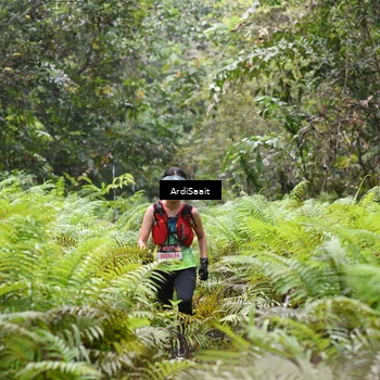Runner Photo 8558235