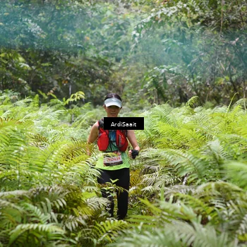 Runner Photo 8558242