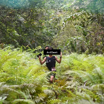 Runner Photo 8558307