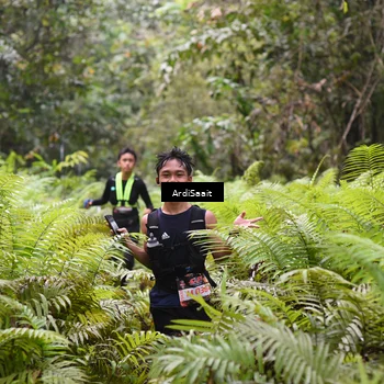 Runner Photo 8558319