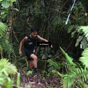 Runner Photo 8558341